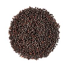 Mustard Seeds